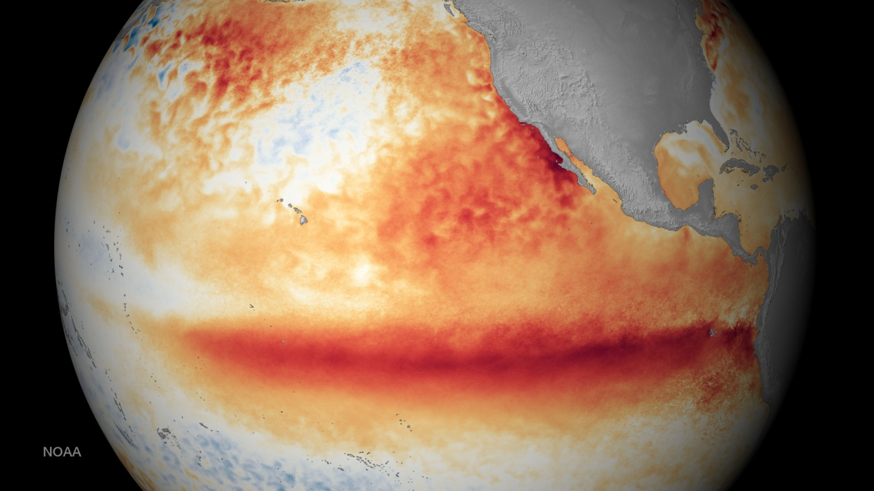 NOAA satellite image showing El Niño sea-surface temperature departure from normal across the Pacific Ocean.